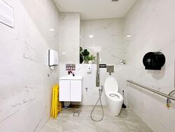 Syed Alwi Road (D8), Shop House #559150471